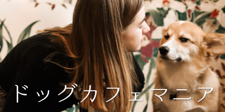 ドッグカフェマニア